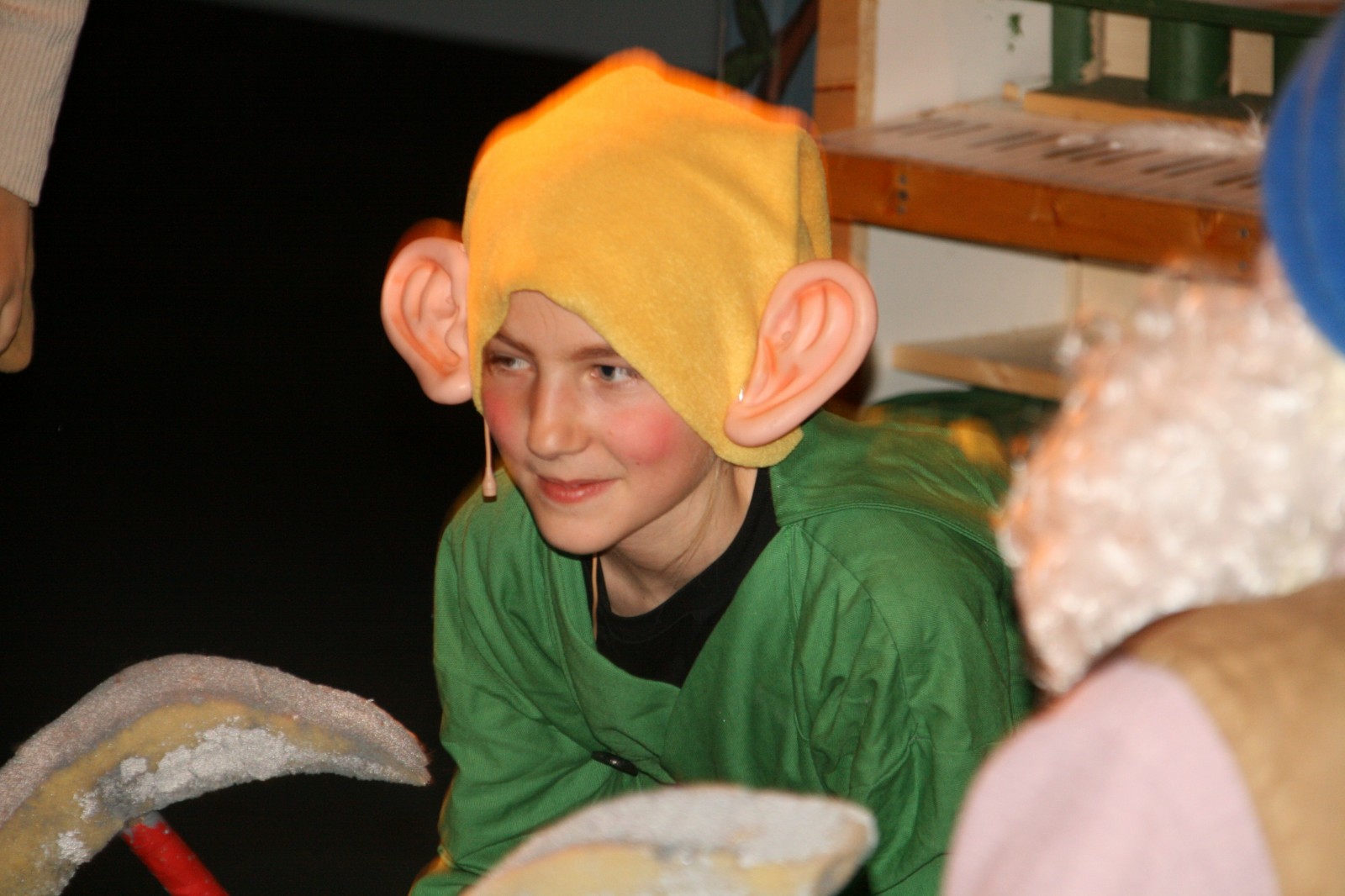 Sini H&ouml;ls&auml; Vilkas